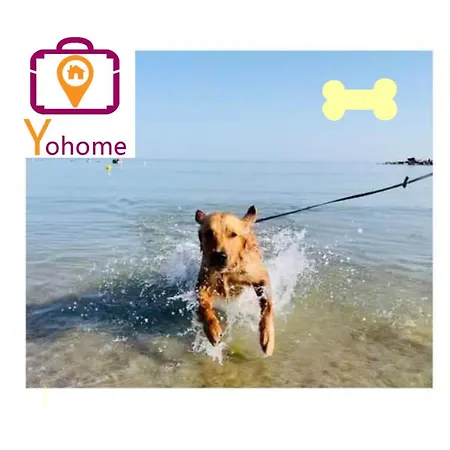 Levante Nel Colorato Porto Di Mare By Yohome 公寓 佩萨罗