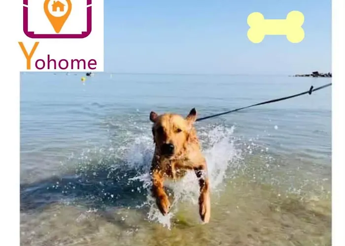 Levante Nel Colorato Porto Di Mare By Yohome Apartment Pesaro